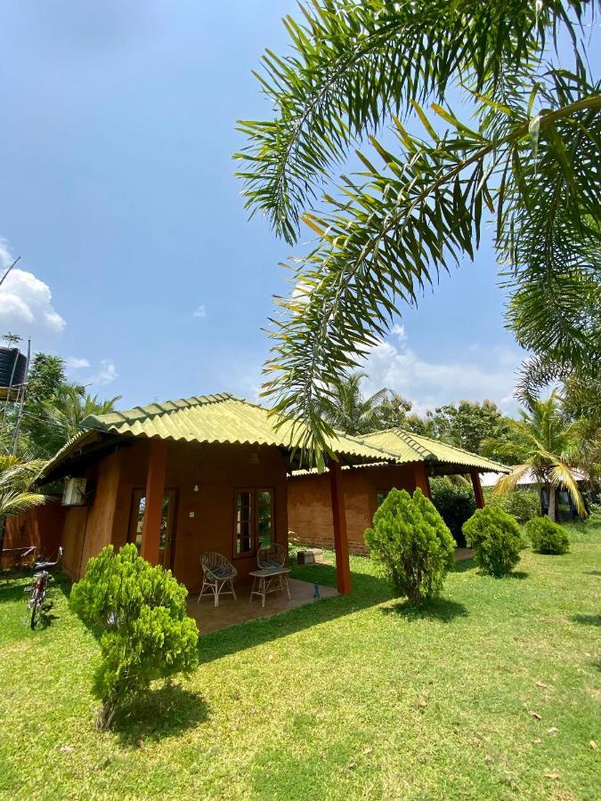 Wild Breeze Hotel Tissamaharama Buitenkant foto