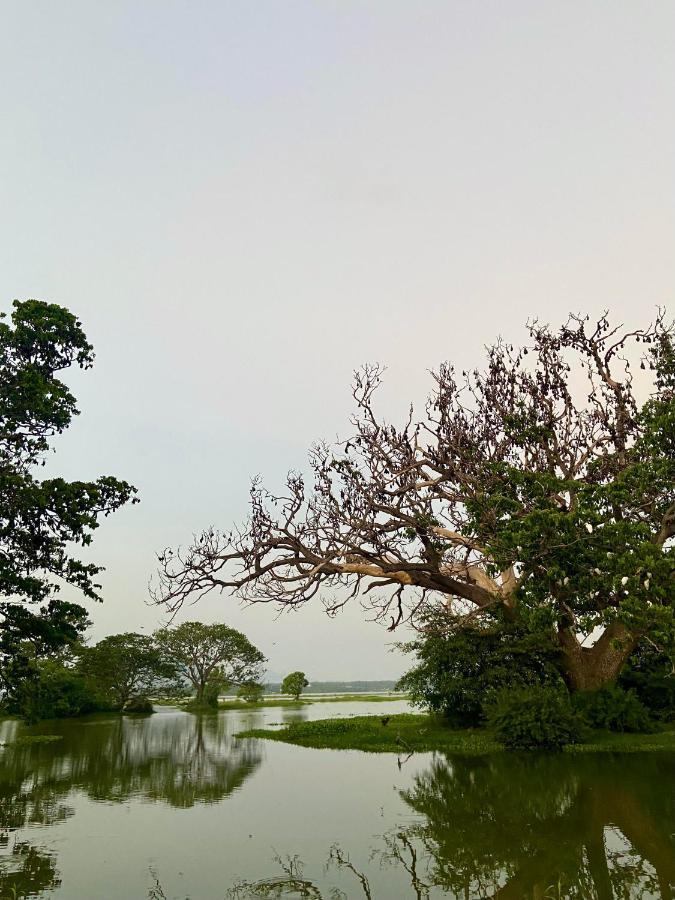 Wild Breeze Hotel Tissamaharama Buitenkant foto