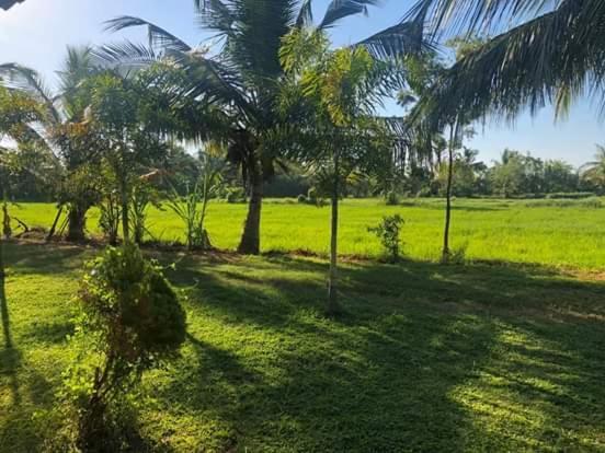 Wild Breeze Hotel Tissamaharama Buitenkant foto